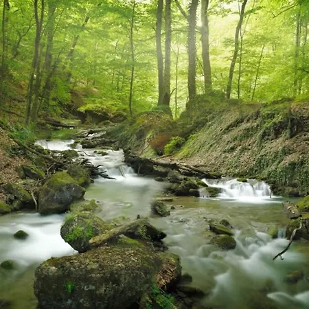 Podere Cerrete - Eco * Castel del Piano